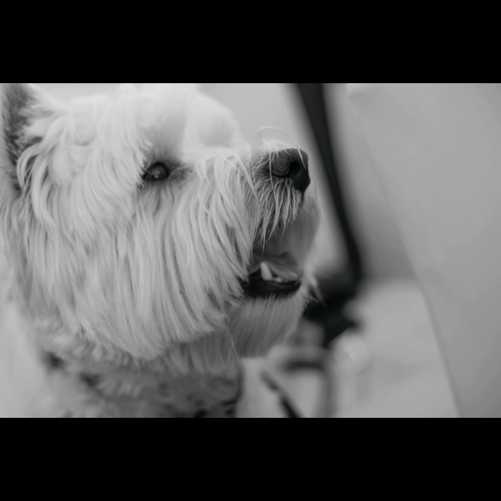 Meet your Posher, Stefanie